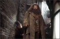 /album/galleria-foto-i-membri-dellordine-della-fenice-originario/hagrid-jpg/