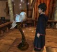 /album/galleria-foto-harry-potter-e-il-prigioniero-di-azkaban-videogames/harryeedvige-jpg/